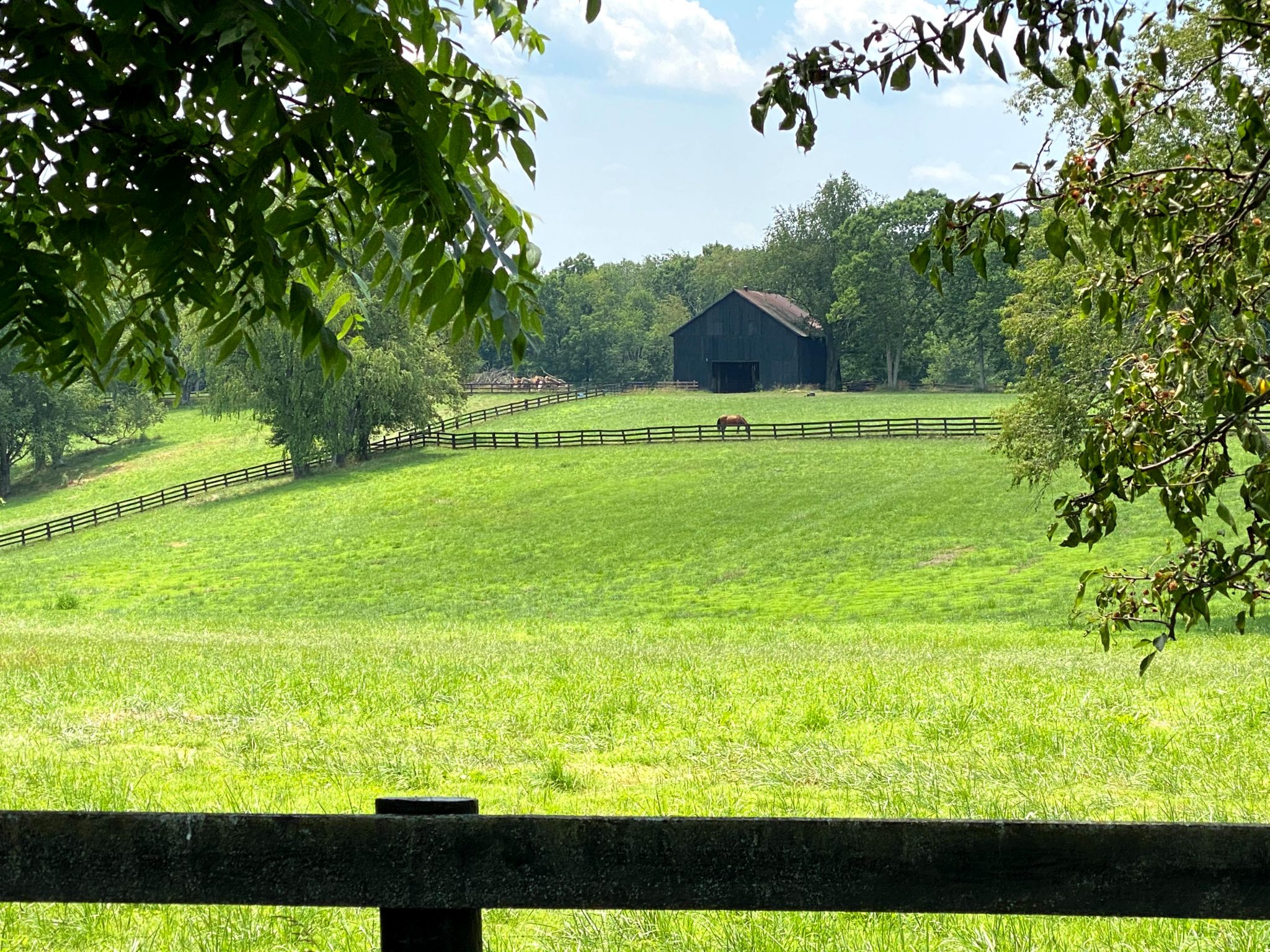 outside a small town in kentucky